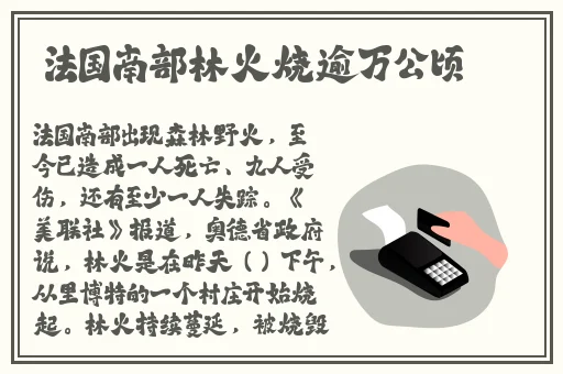 8X8X海外华人免费专区